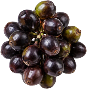 Saw palmetto berries